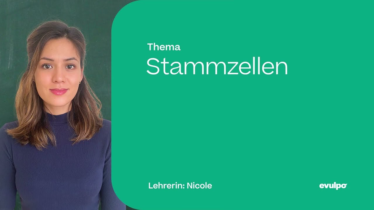 Meristeme, embryonale & adulte Stammzellen