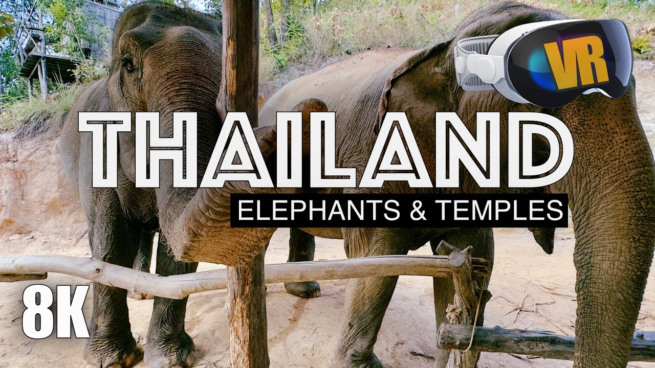 THAILAND in 3D: Elephants & Temples [8K VR180]