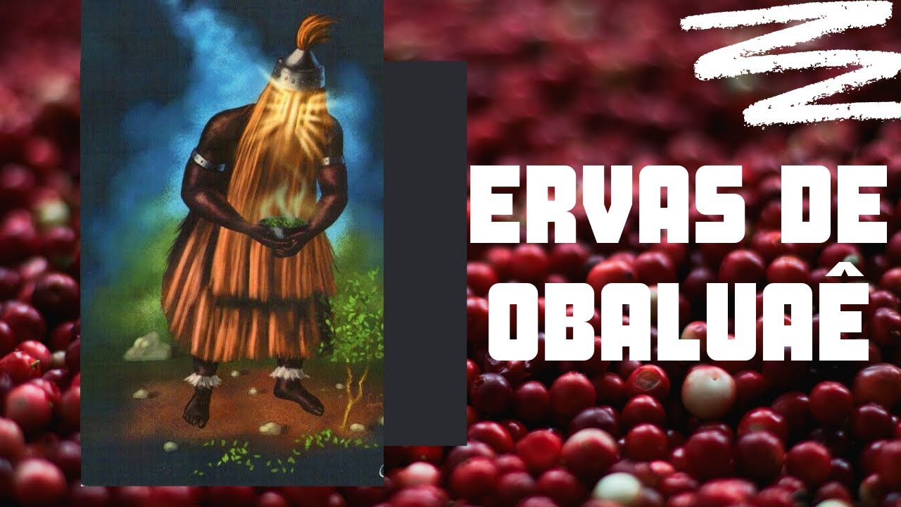 Ervas de Obaluaê.