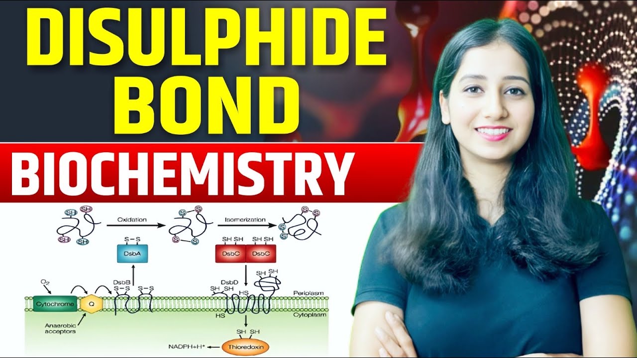 Disulphide Bond | Biochemistry | Complete Explanation | Bansal Biology