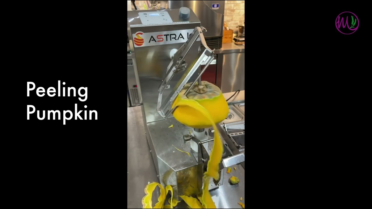 Astra Commercial Fruits & Vegetable Peeler | KA-750PM