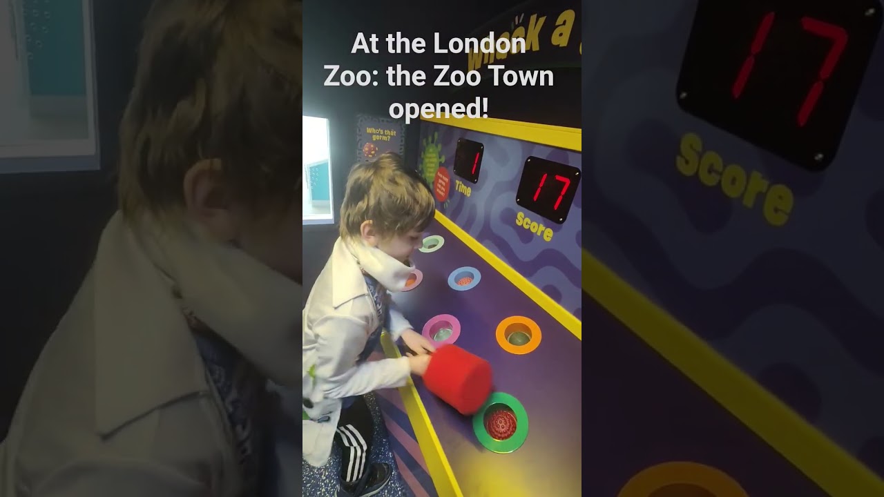 Zoo Town Adventures at London Zoo 🐯 | Family Fun 