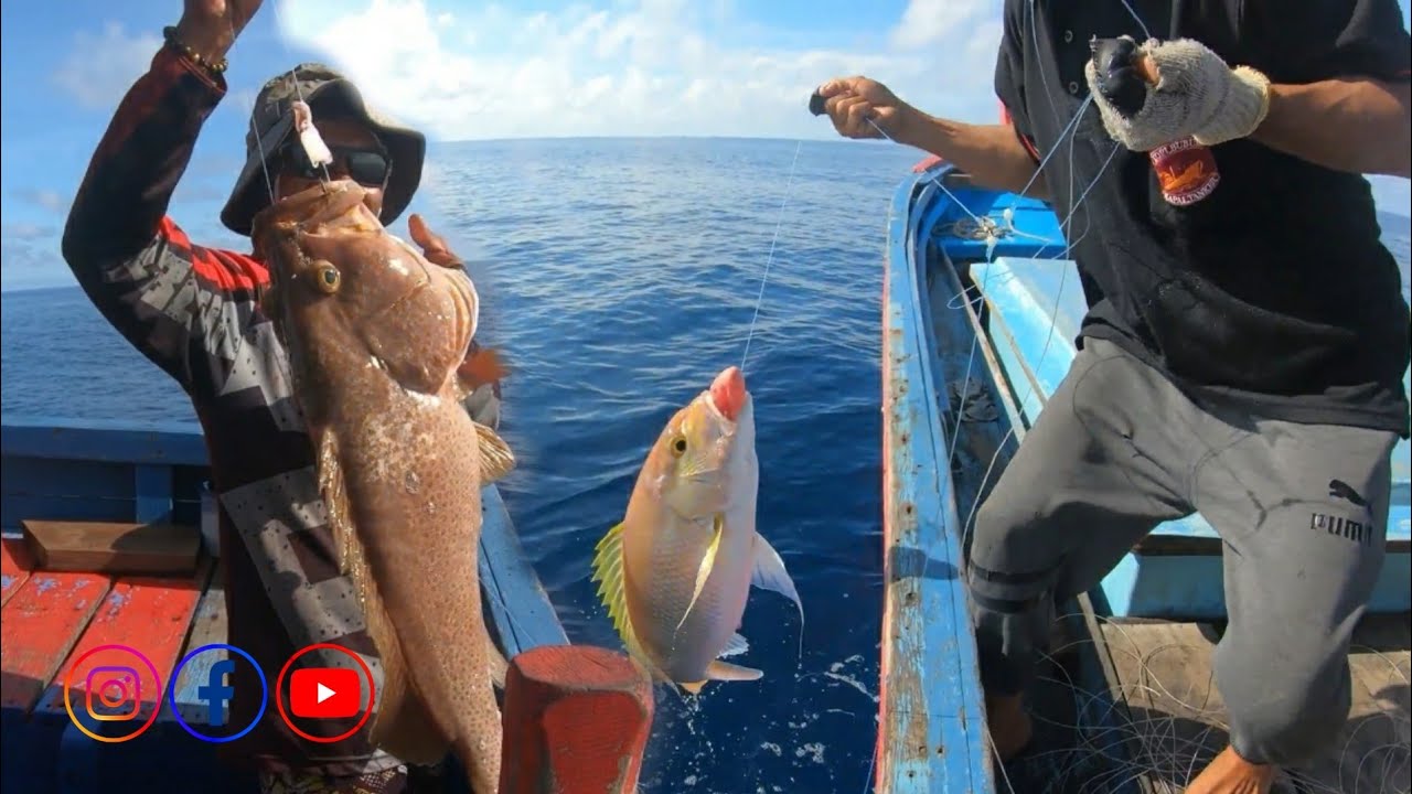 amazing.!Umpan baru turun langsung disambar bertubi-tubi, Always Strike Neuroattractant