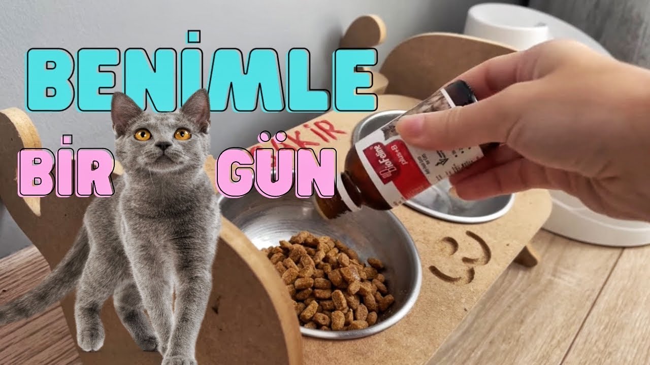 Vlog / Benimle Bir Gün / Kedimle Vlog / Bir günde neler yapıyorum?
