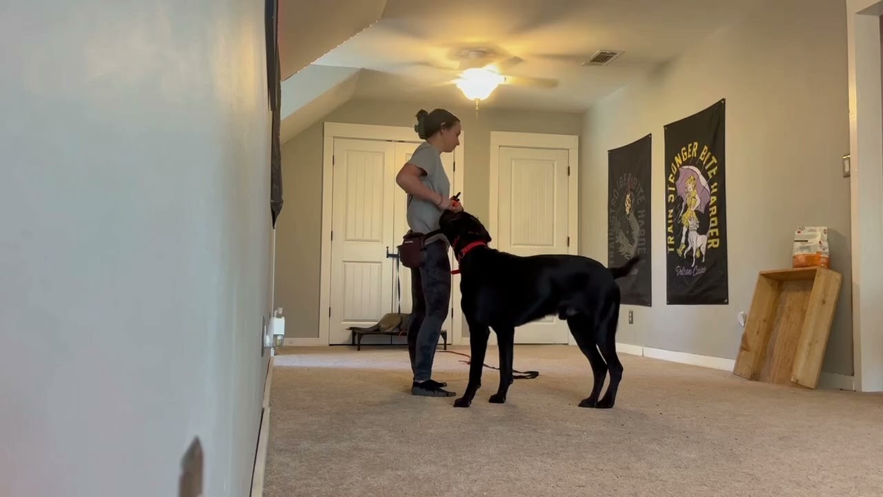 LUCY: impulse control