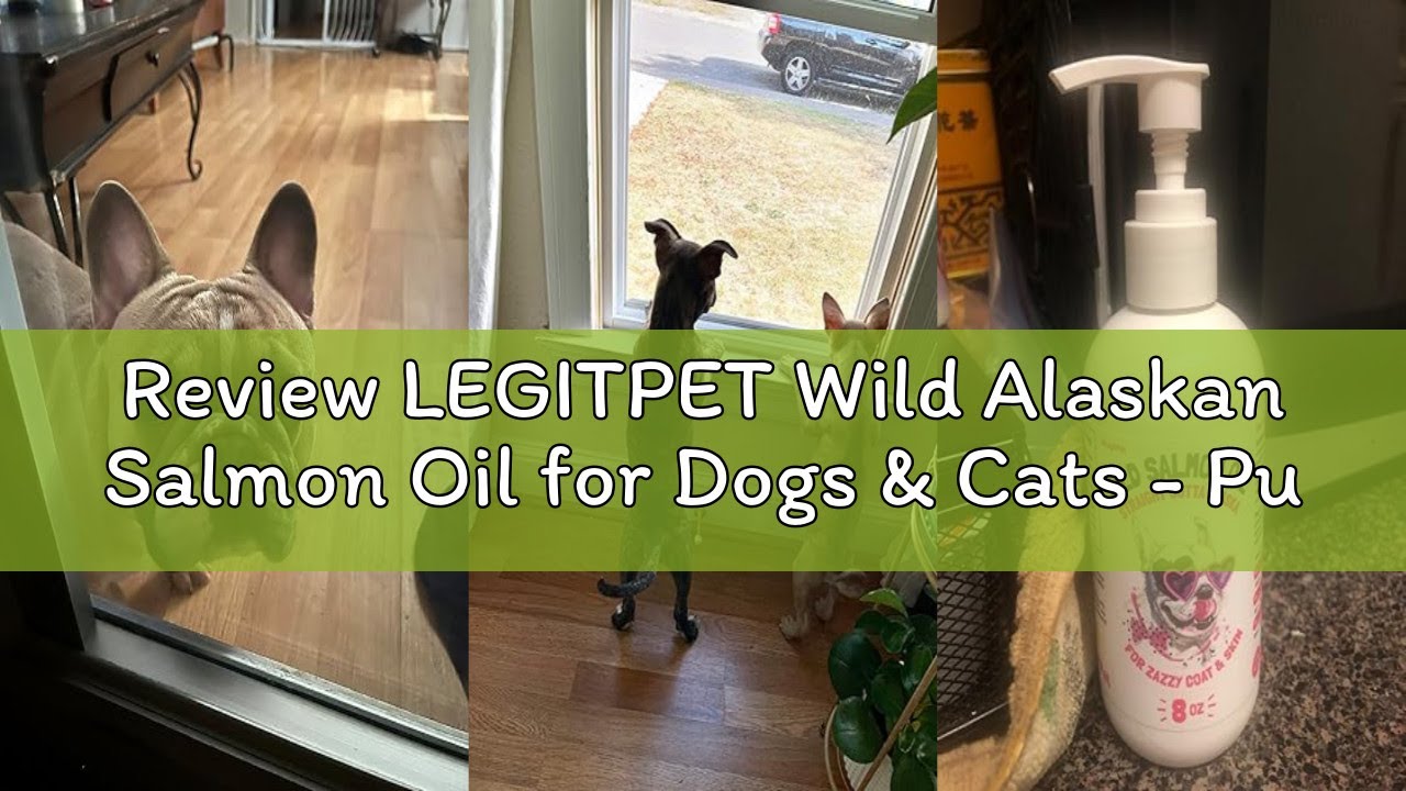 Review LEGITPET Wild Alaskan Salmon Oil for Dogs & Cats - Pure Fish Omega 3 6 9 Liquid EPA DHA Fatty