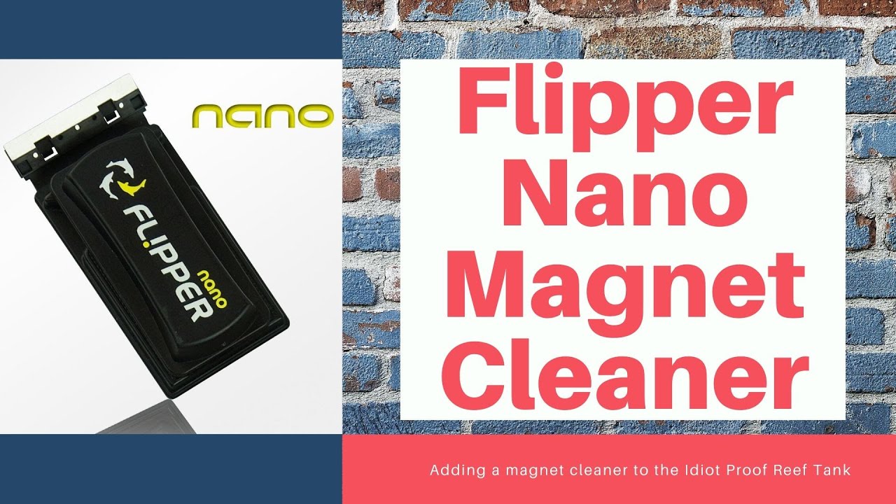 Flipper Nano - Magnet Cleaner in the Idiot Proof Reef Tank