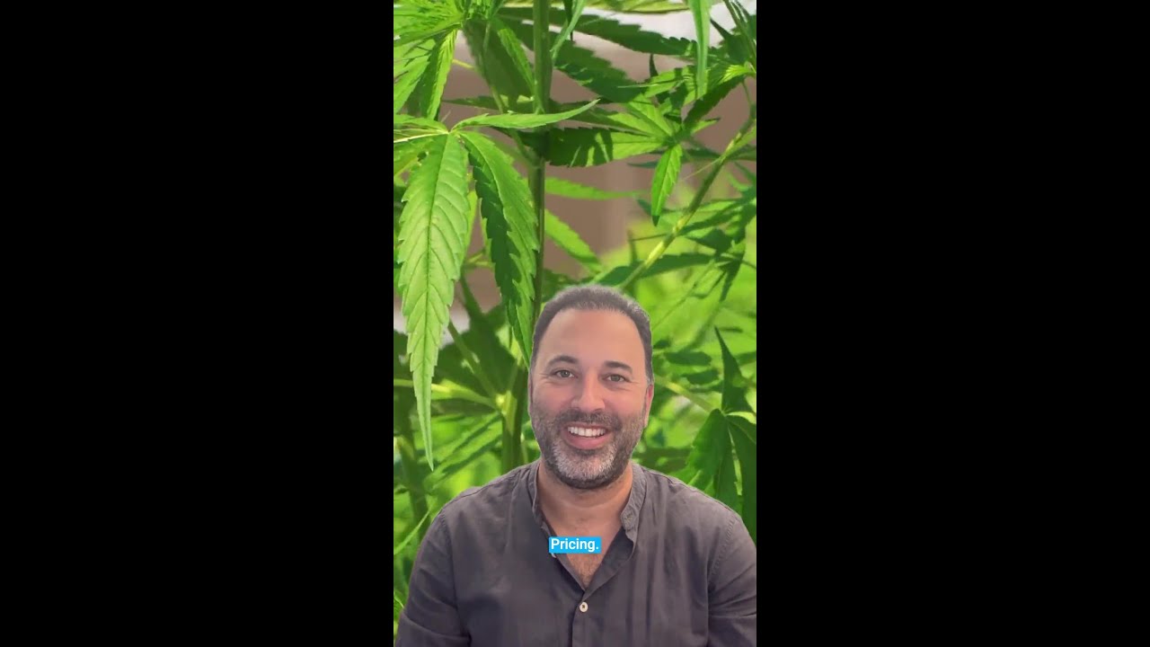 Cannabis Retail Pricing Strategy: Cost vs. Market Approach Explained