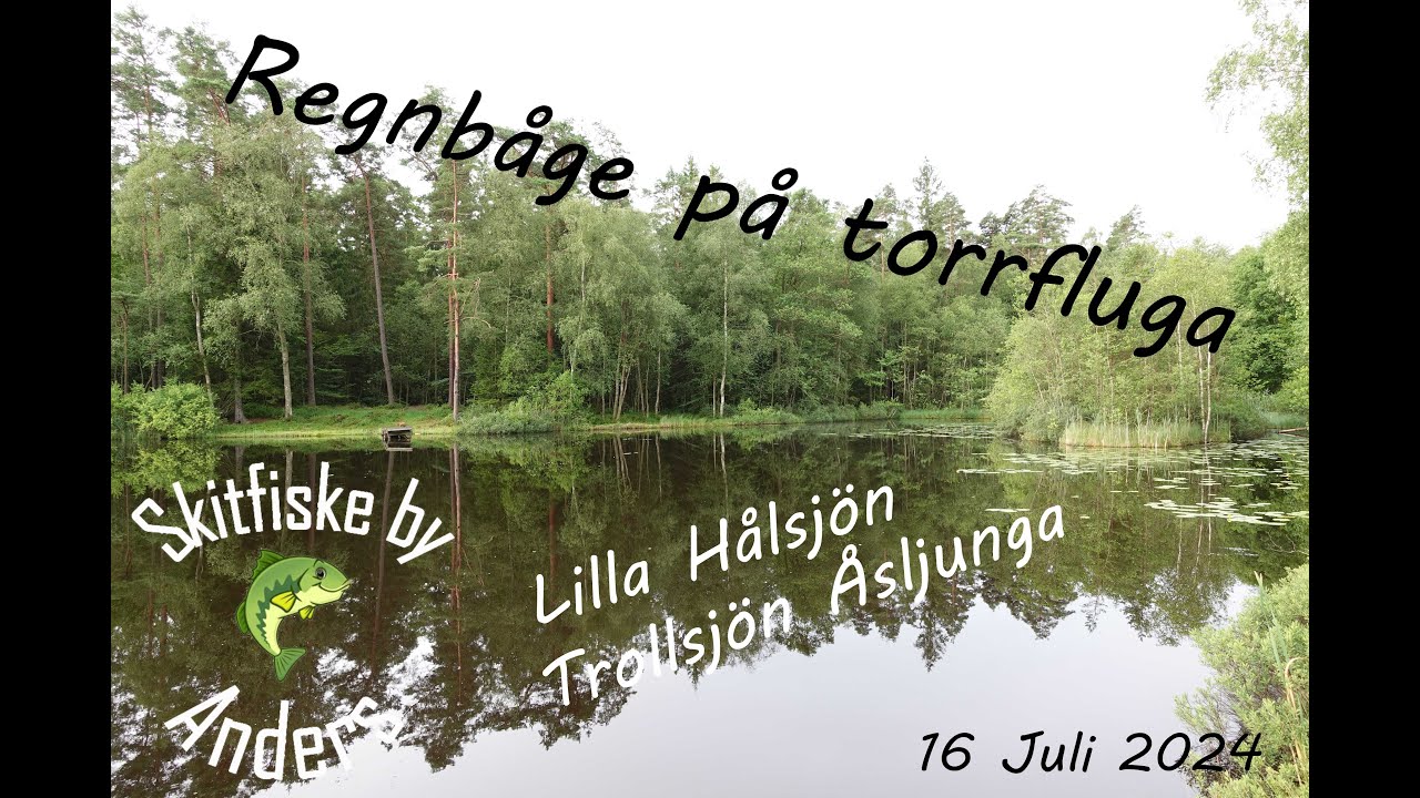 Regnbåge på torrfluga i Hålsjön