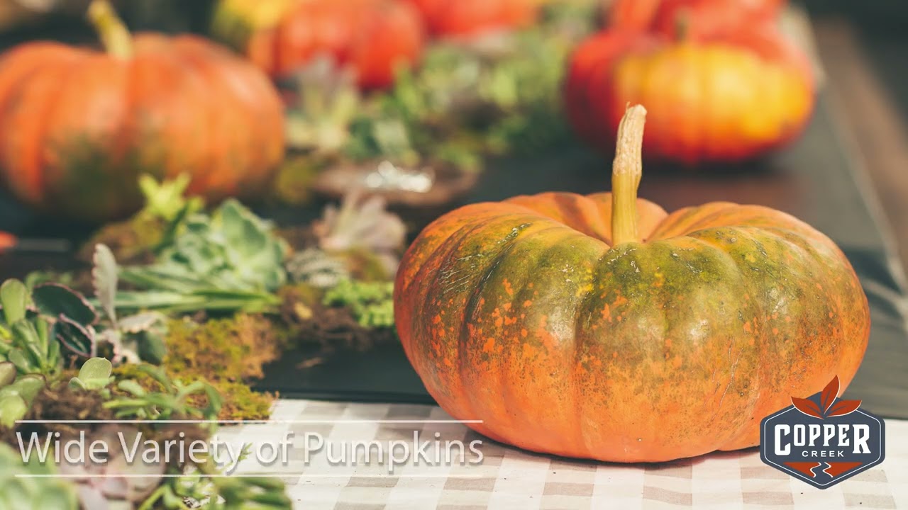 Fall Shopping at Copper Creek Garden Center and Landscapes in Nisswa, Minnesota