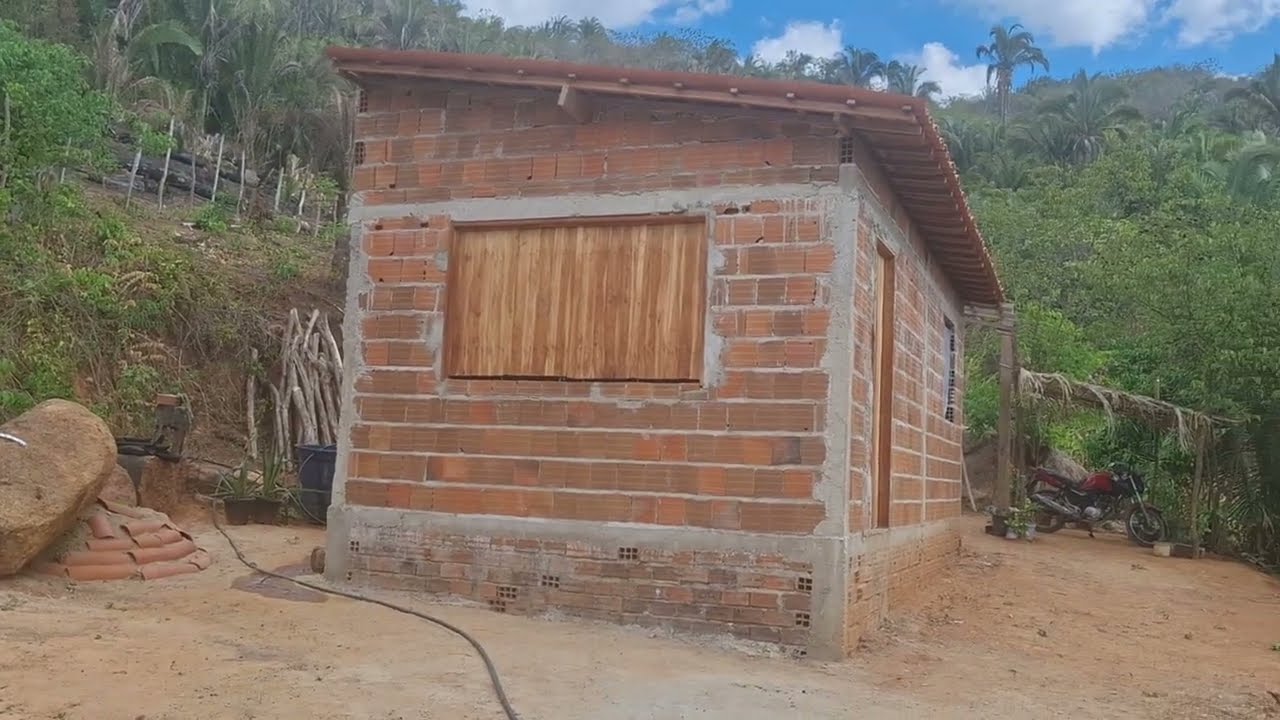 Dia  de rotina  no  terreno +  plantas, insetos 🏡🏡