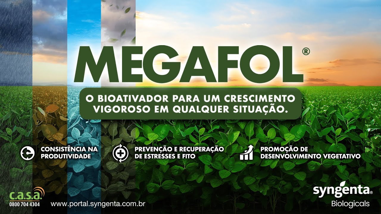 Conheça MEGAFOL®, o seu aliado para um crescimento vigoroso das plantas em qualquer situação