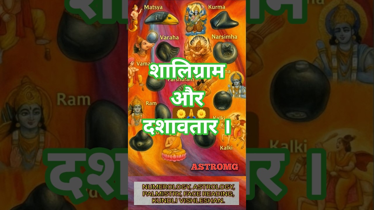 Saligram Vishnu #saligrama #vishnu #omgastr #youtubeshorts #ytshorts #astromg #2025 #dashavtar #yt