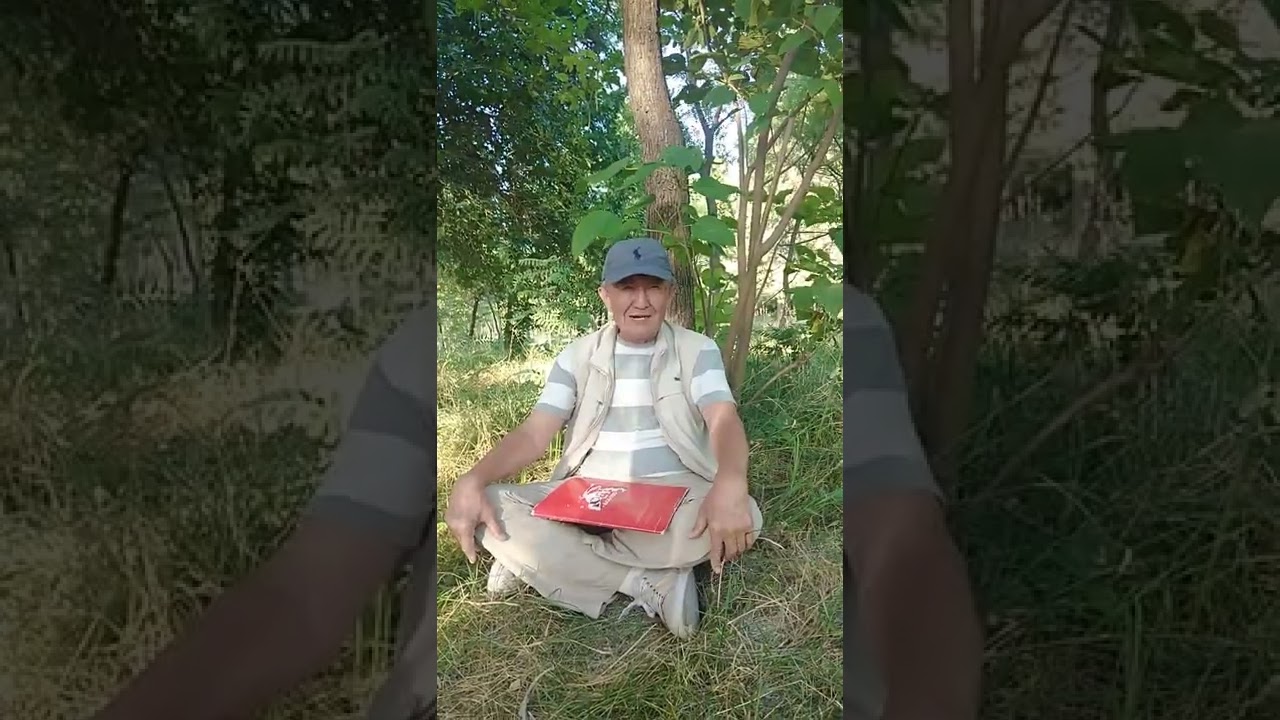 Дүйшөн Керимов: Нүзүп бий жана көк чокой...