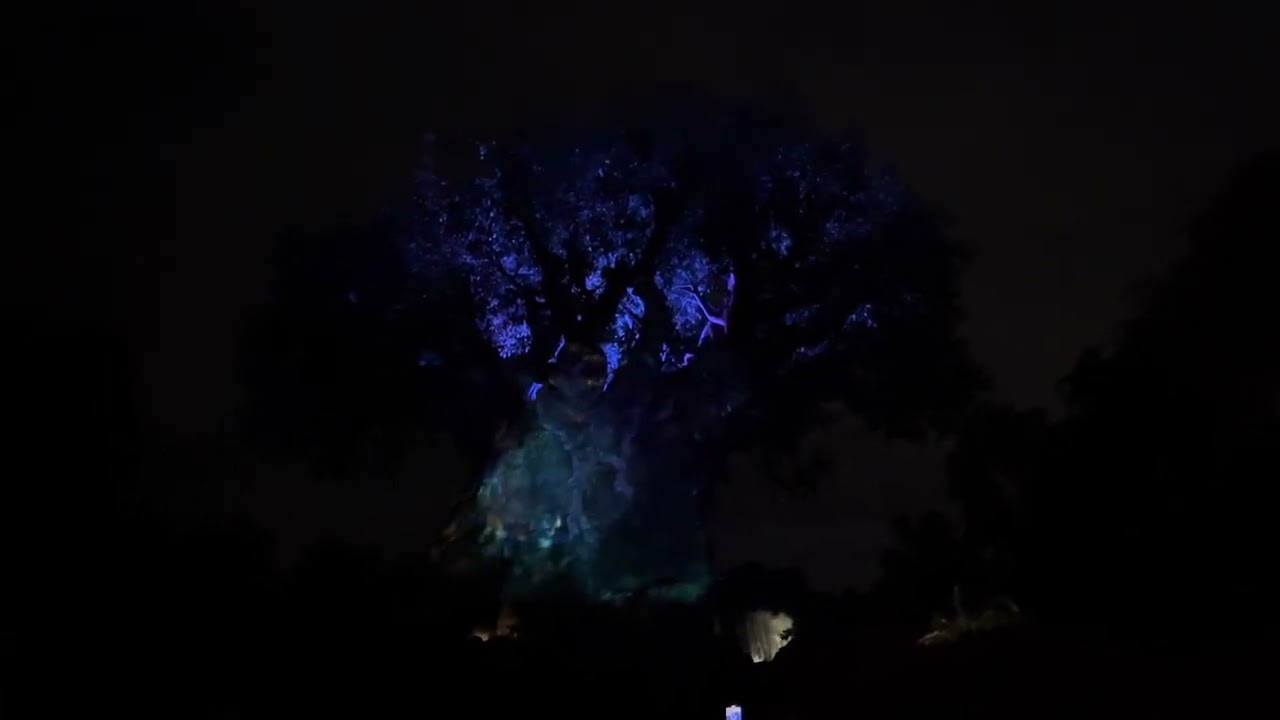 Tree of Life Awakenings: Disneys Animal Kingdom 2024