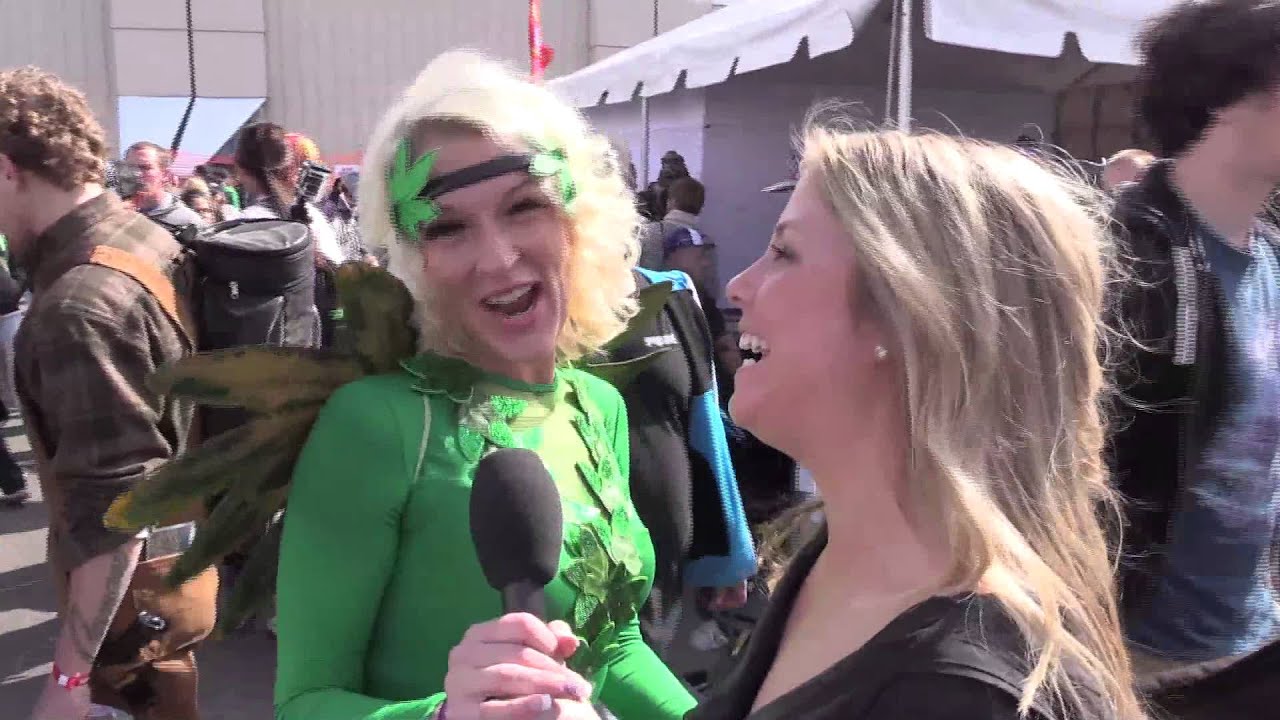 Cannabis Cup 2015