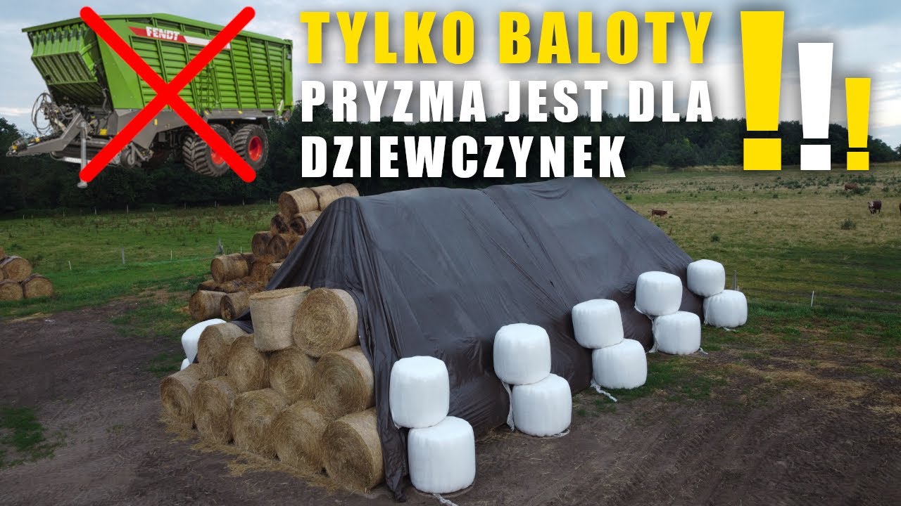 PRAWDZIWI MĘŻCZYŹNI ROBIĄ BALOTY | Załadunek i Rozładunek BALOTÓW + Nasze stado BYDŁA MĘSNEGO ;)