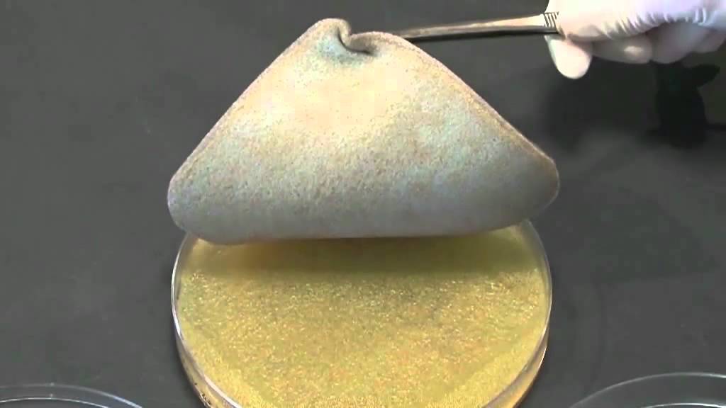 Mepilex Ag - Flat wound model