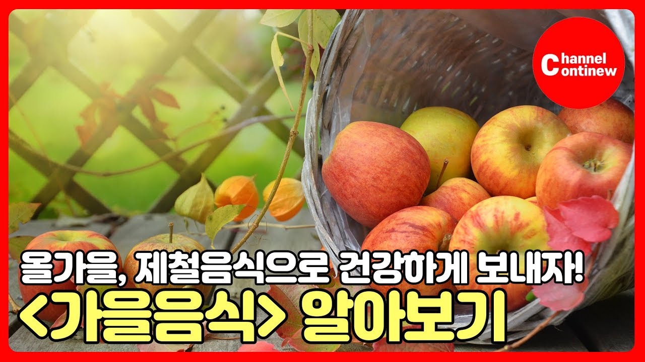 가을은 내가 살찌는 계절...☆ 가을음식 총정리!