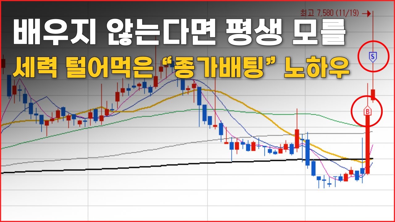 확률 90% 종가배팅 강의