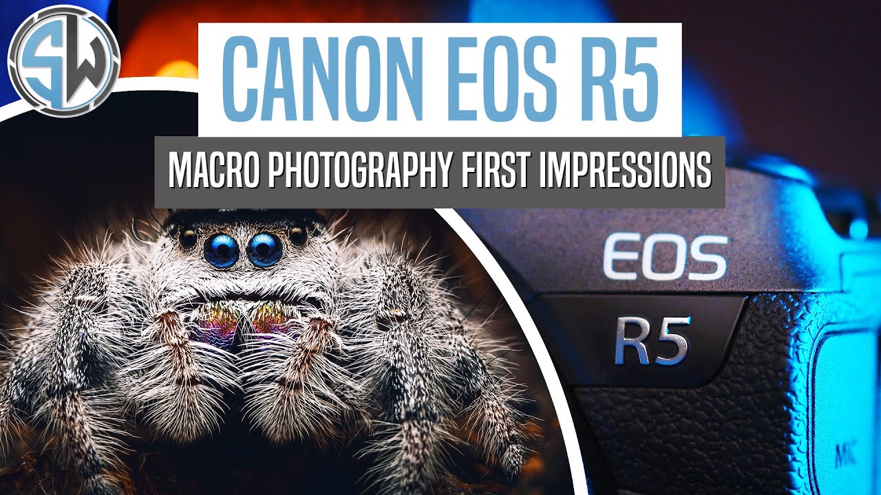 Canon R5 for Macro Photography | First Impressions