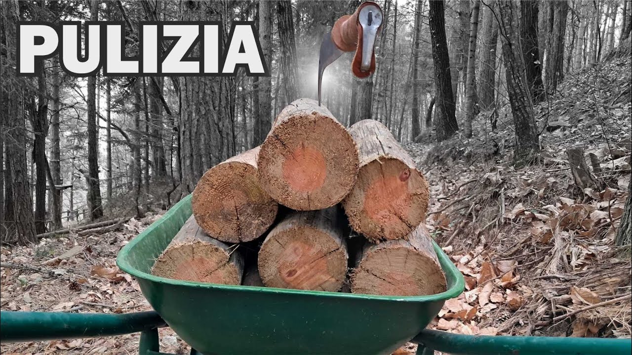 pulizia del bosco prima della neve un'attività davvero utile