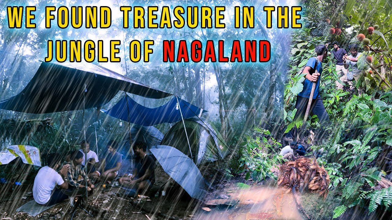 3 Days Survival Camping in Heavy Rain | Adventure Camping & Prawn Fishing in Rainforest