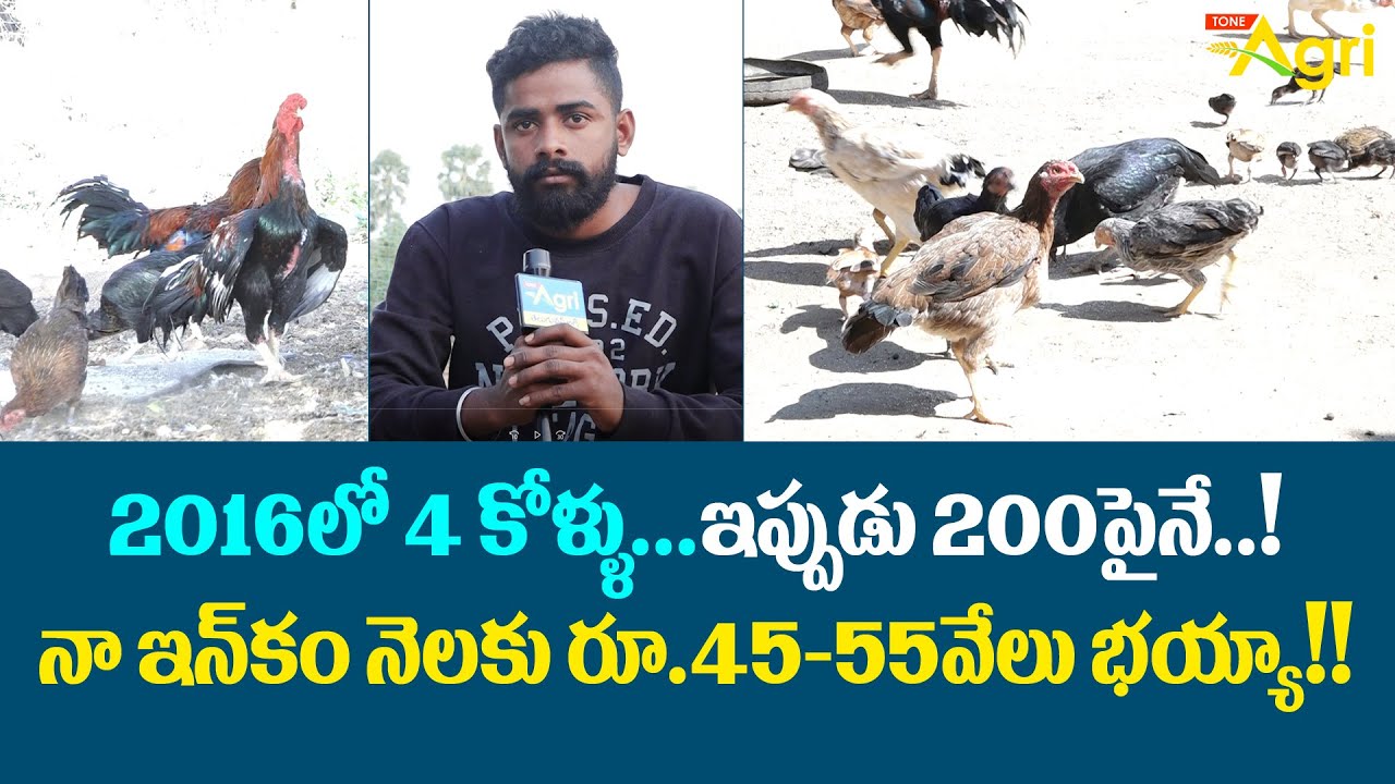 Natukolla Farmimg | 2016లో 4 కోళ్ళు... ఇప్పుడు 200 పైనే..! | Tone Agri