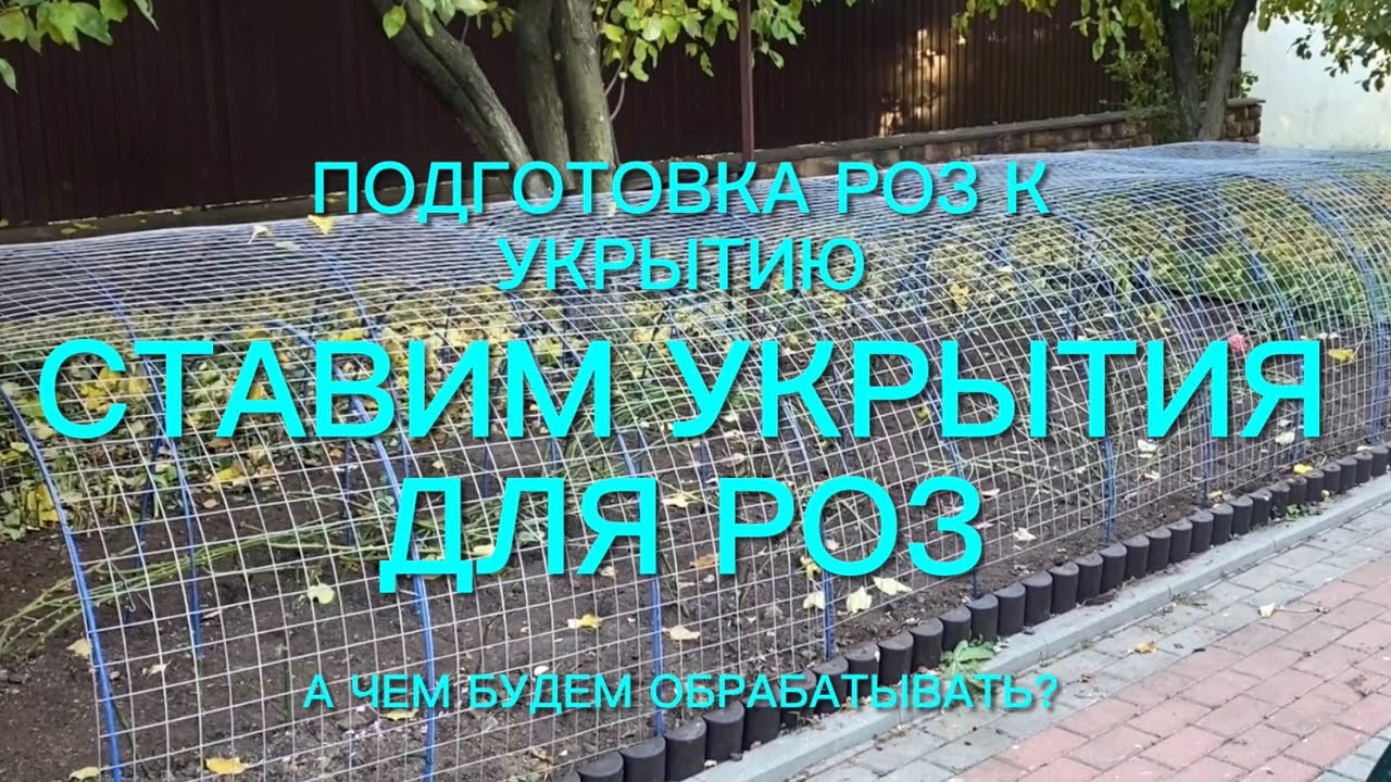 Розы. Ставим укрытия . Обрезка полным ходом. Ох и не легкое это дело. А что ещё…. 🌹🌹🌹