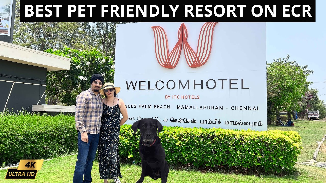 Welcom Hotel By ITC | Kences Palm Beach Resort | Best Pet Friendly Resort in Mahabalipuram | 4K |