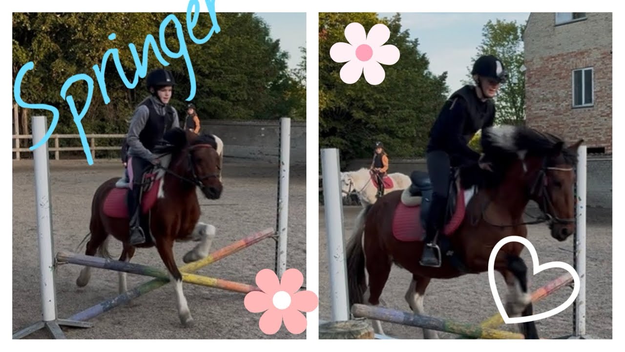 En springtime med os🐴