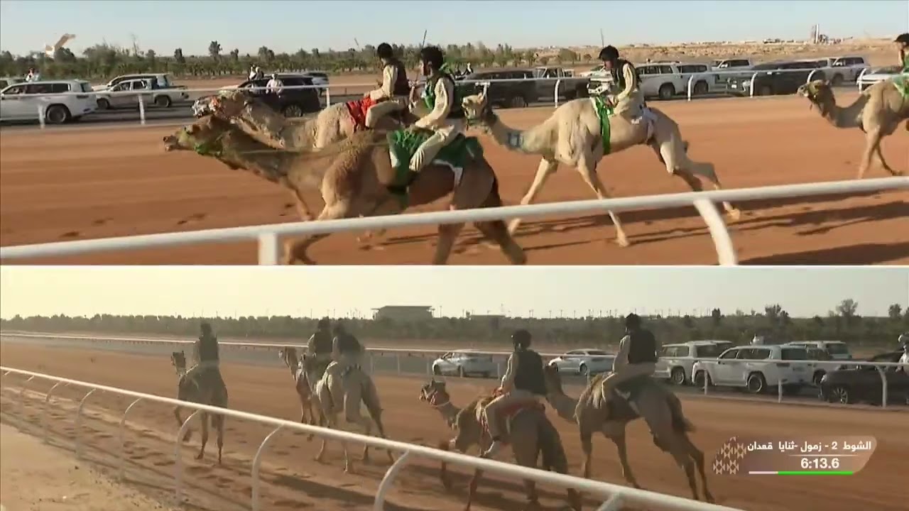 الشوط 2 كأس زمول وثنايا قعدان - رجال  #دوري_هجان 2026