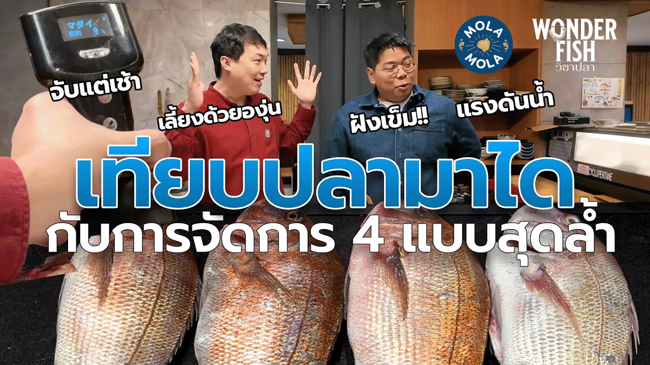เทียบ 
