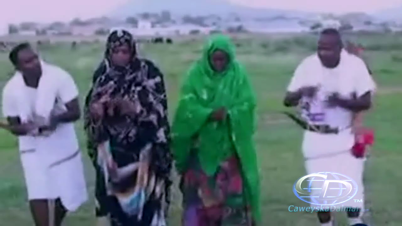 Ciyaar Saylici