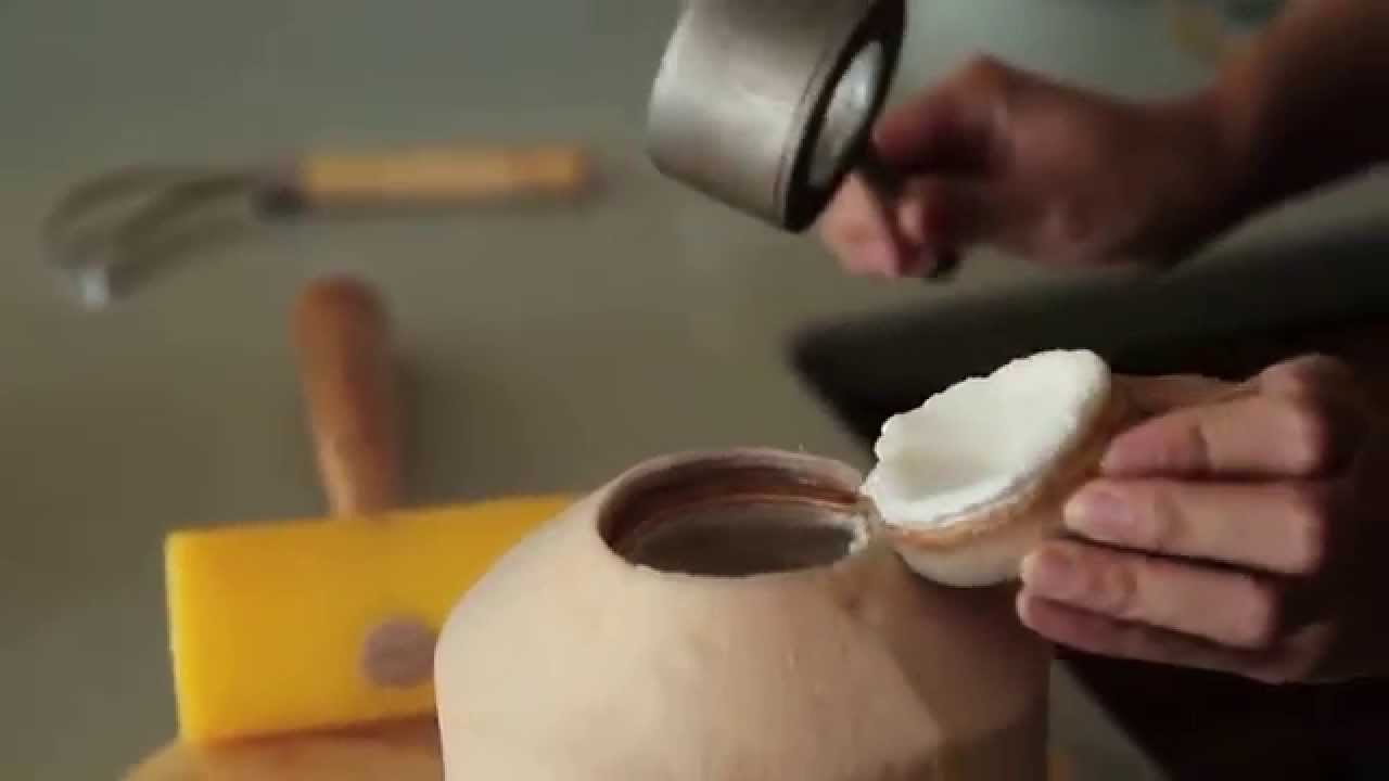 Coco Jack coconut opener