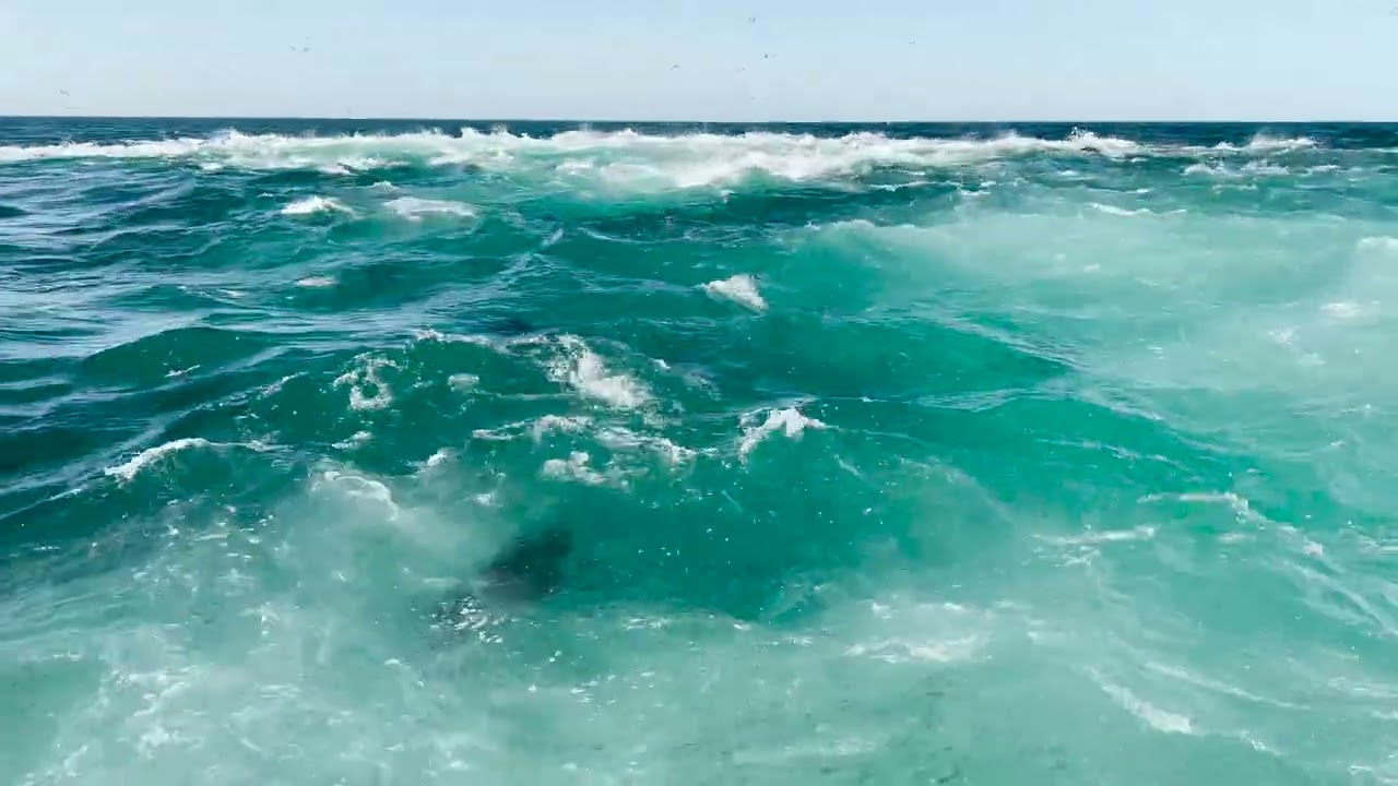 2024 vortex