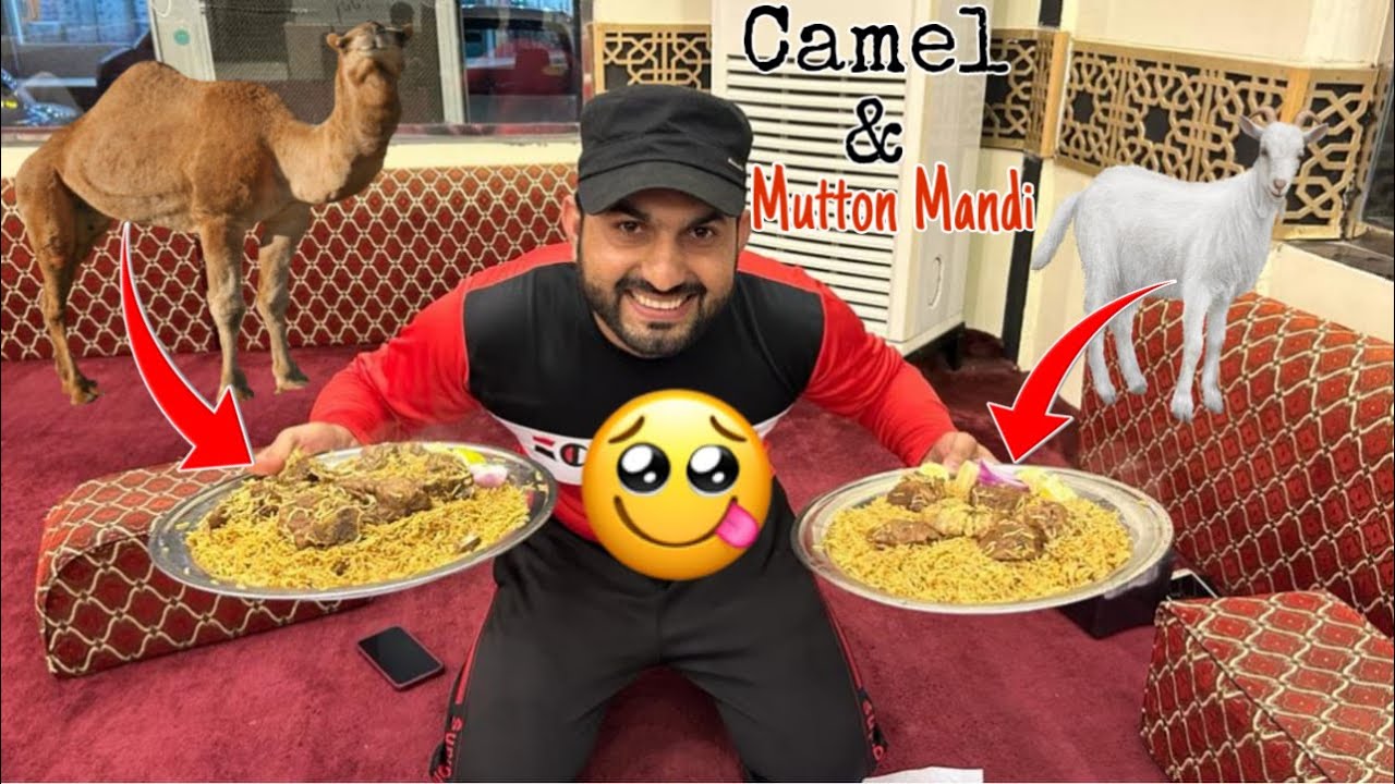 The Best Arab Traditional Dish Camel 🐪Mandi- Mutton Mandi | Hashi Basha Restaurant in Saudi Arabia