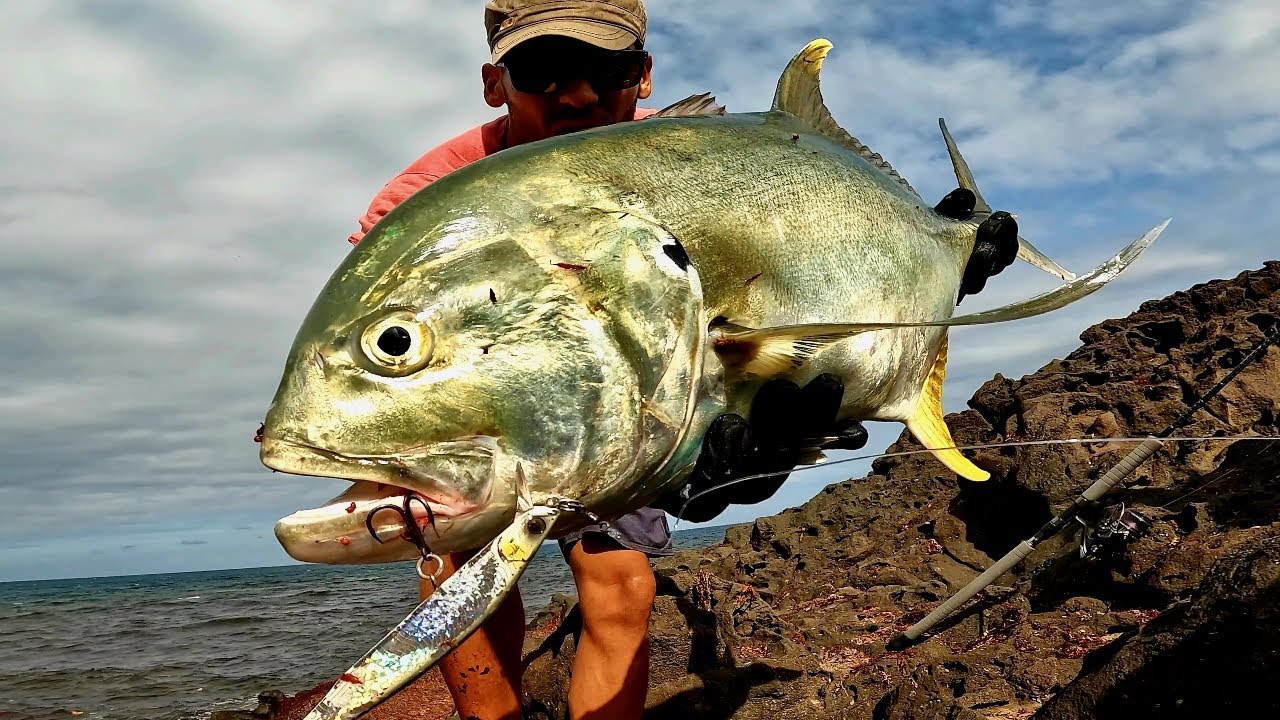 Va Pour Une Carangue Bien Grasse - Pêche En Guadeloupe | RockFishing