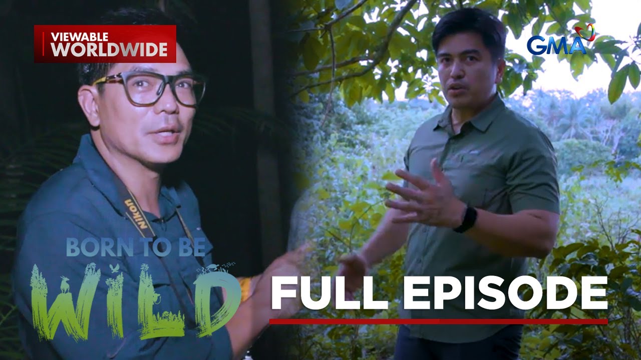 Stray Endemic Wildlife Rescue | Born to Be Wild (Full Episode)