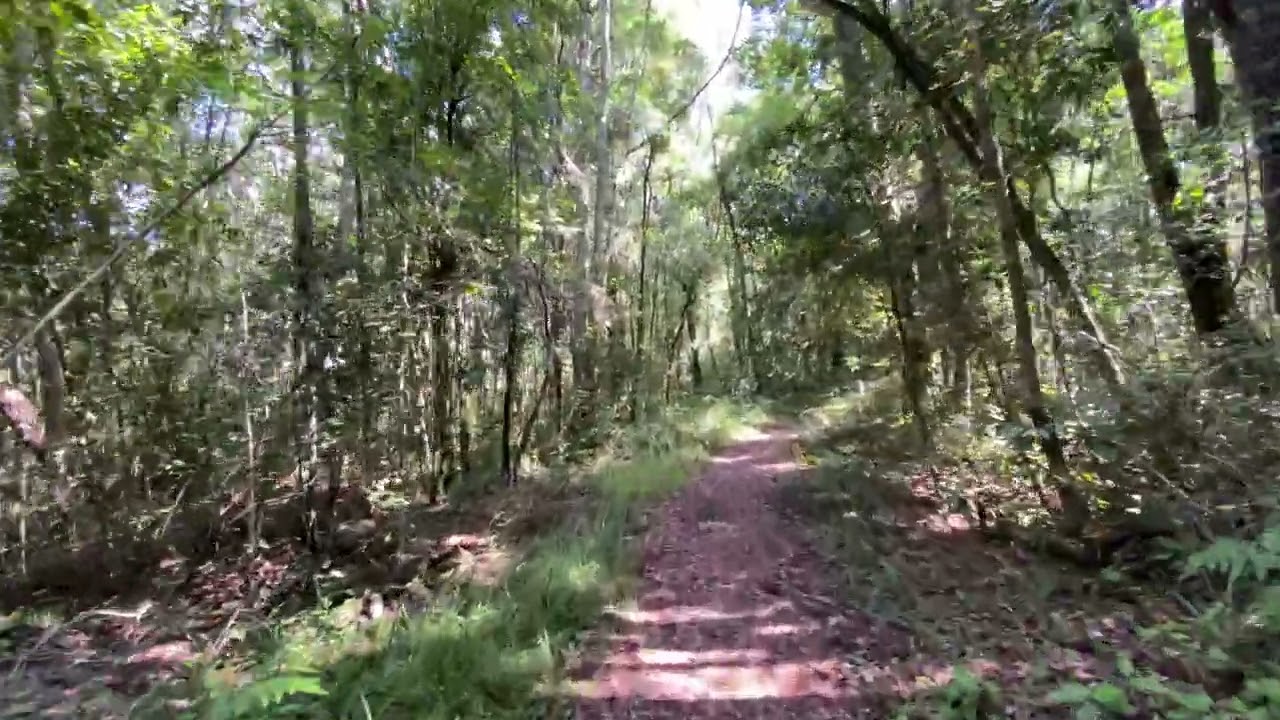 Perdekop Trail, Hiking & Trail Running (18km - 3h47m), Garden Route National Park - Western Cape