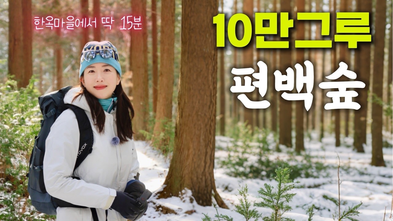 전북 완주의 숨겨진 편백나무숲 트레킹 | 전주한옥마을 15분거리