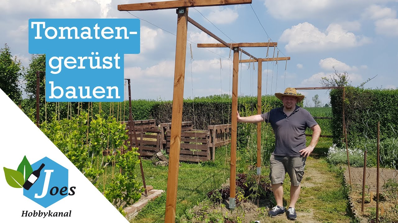 Ein Tomatengerüst bauen ist nicht schwer – Rankhilfe für Tomaten