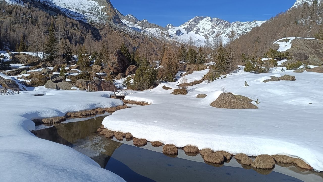 Disgrazia Skialp