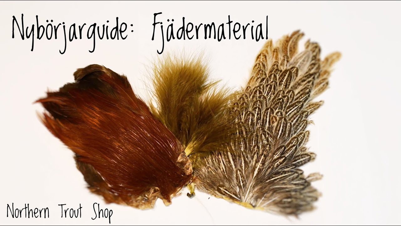 Nybörjarguide: Fjädermaterial - Flugbindning