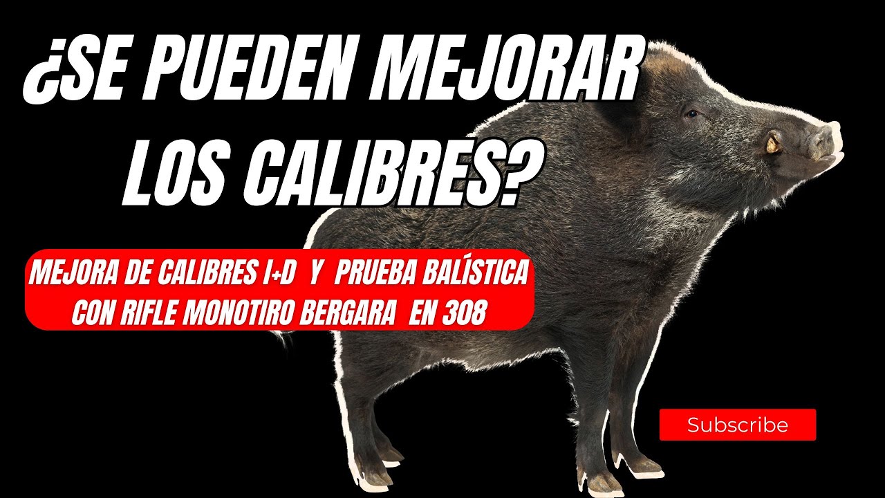 ¿Se pueden mejorar los calibres?