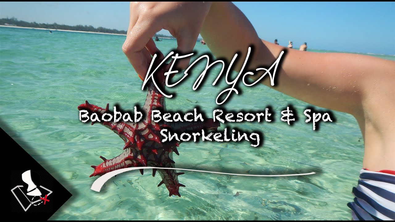 Kenya - Hotel Baobab Beach Resort & Spa - Snorkeling [4K]