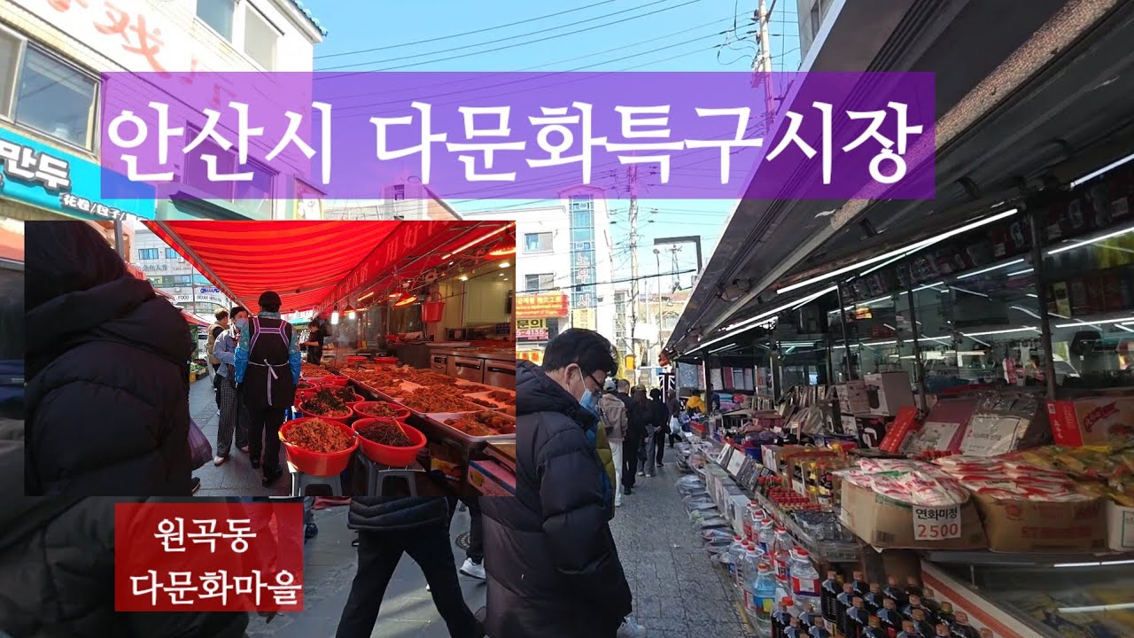 안산시 다문화특구시장