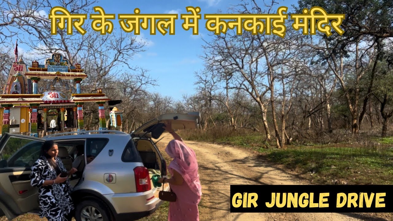 Ahmedabad to Sasan Gir road trip | kankai Mata temple | jungle drive | family trip