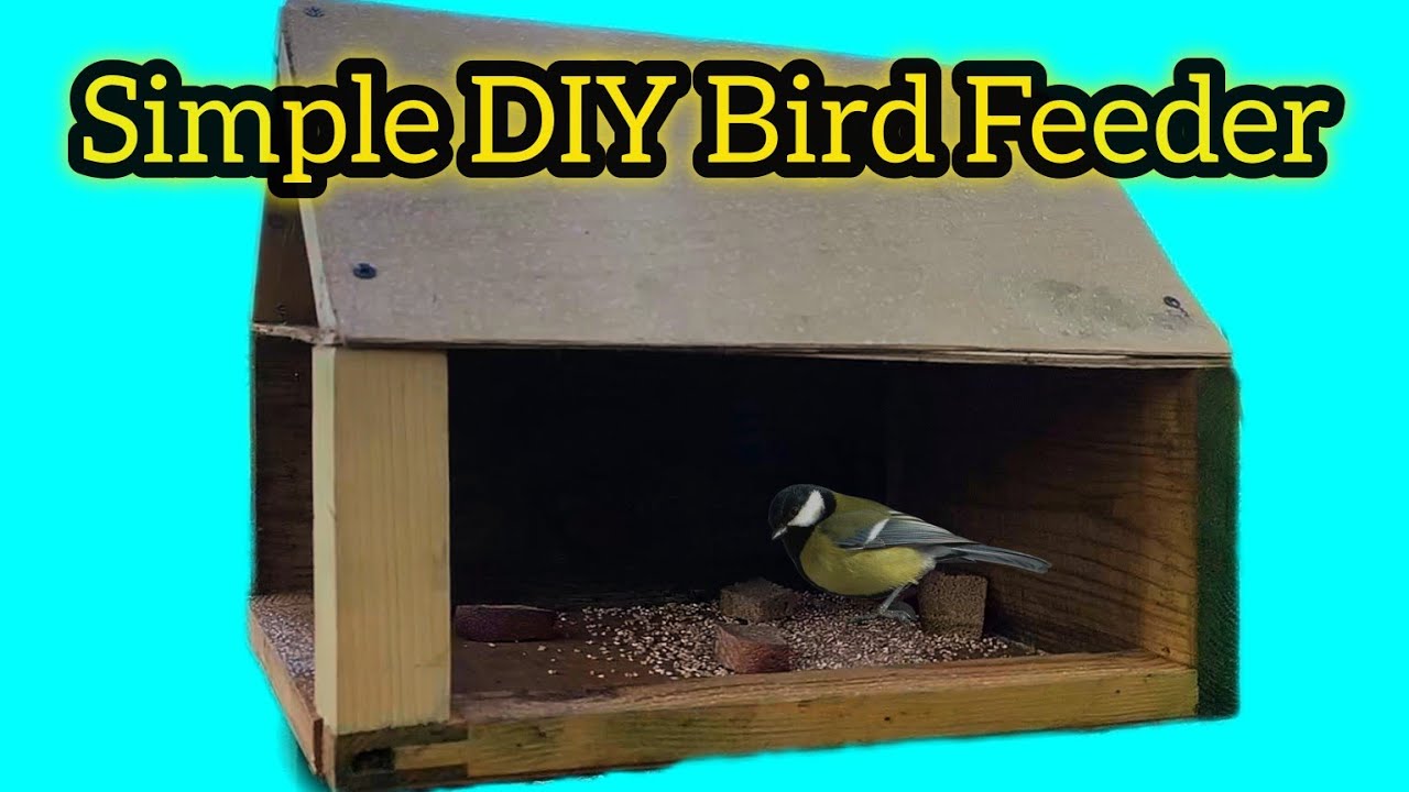 Building a Wooden Bird Feeder | Simple DIY Project