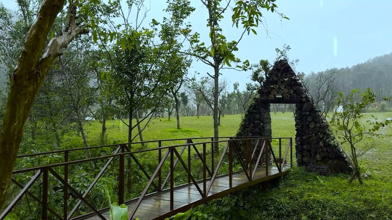 Rain Sounds for Deep Sleep - Gentle Park Rain on a Wooden Bridge, Misty Mountains